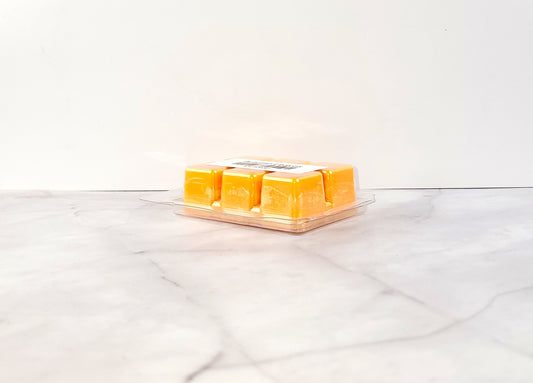 Hand-poured autumn fragrance wax melt with musky, spicy notes