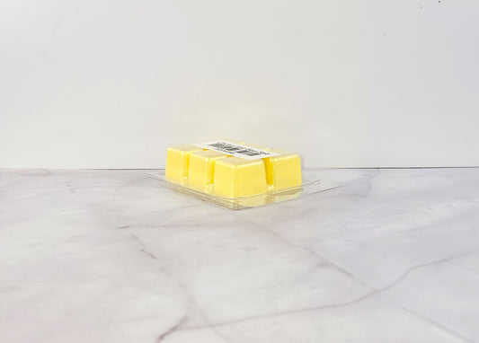 Cactus-scented wax melt with beachy, clean aesthetic