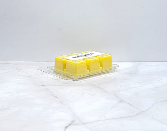 Close-up of wax melt with fresh lemons and citrus slices