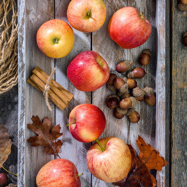 Apple Peel and Acorn Soy Wax Snap Bar