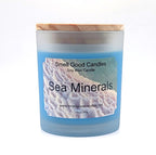 Sea Minerals 10oz Scented Soy Wax Candle - Fresh Coastal Aroma